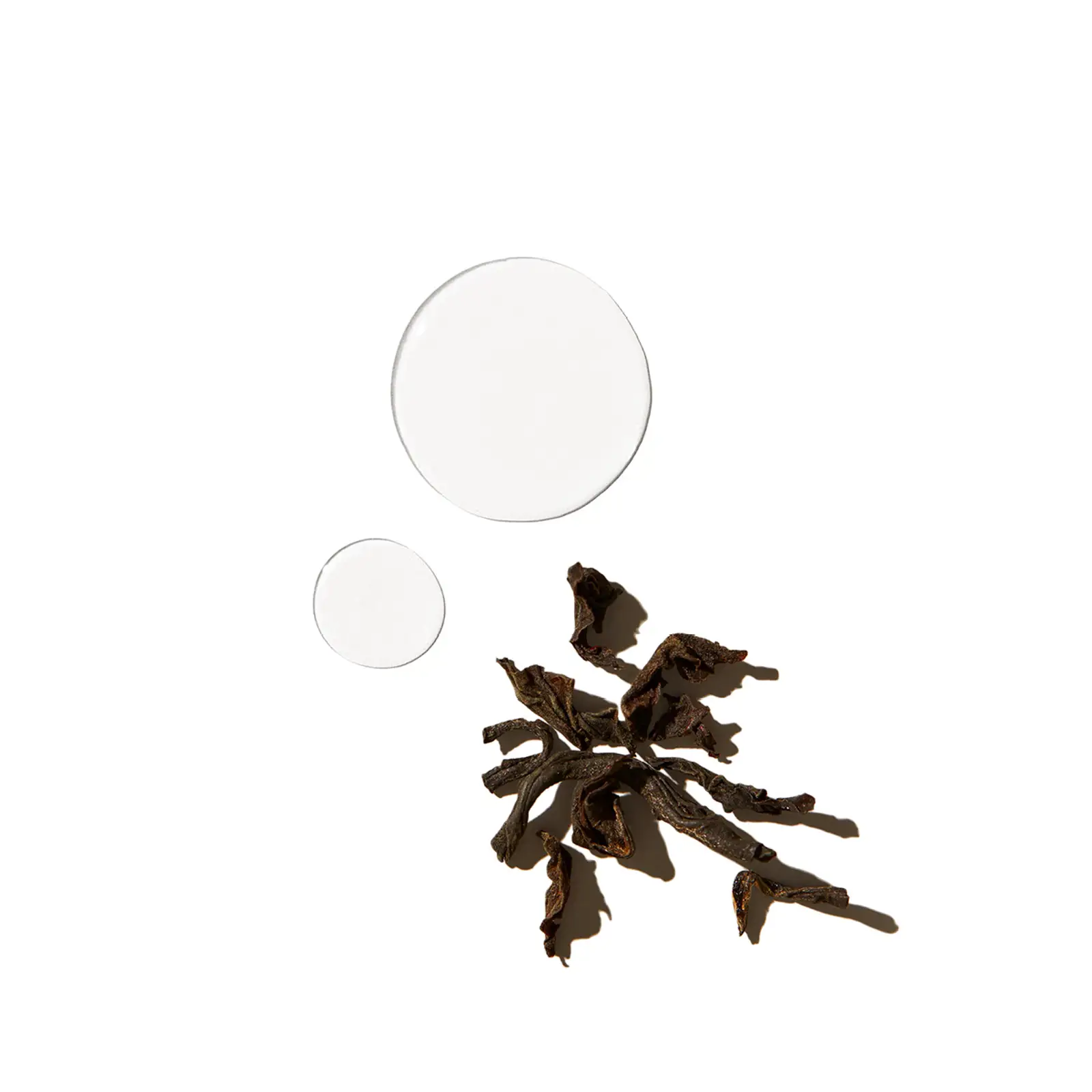 TEA TREE SPECIAL DETOX KOMBUCHA RINSE 200 ml TEA TREE