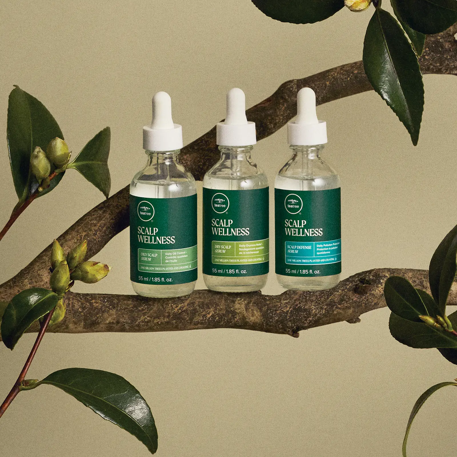 TEA TREE SCALP WELLNESS OILY SCALP SERUM 55 ml  PAUL MITCHELL